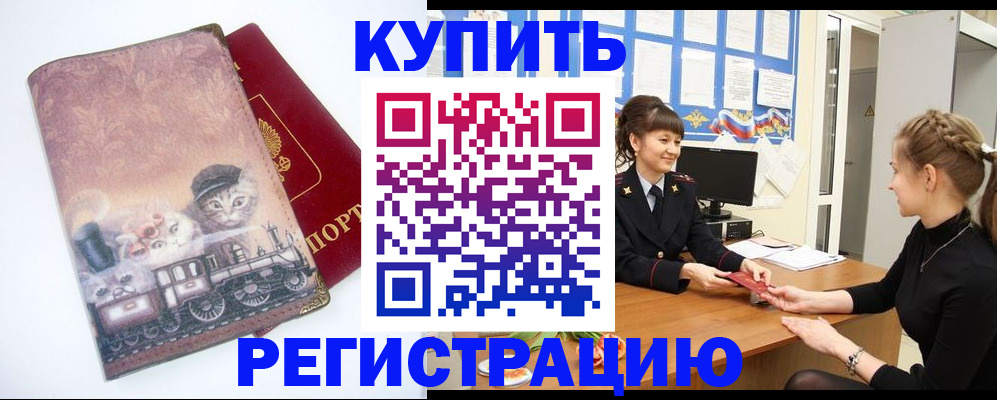 прописка 2025 в Ельне